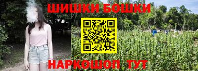 шишки Гатчина