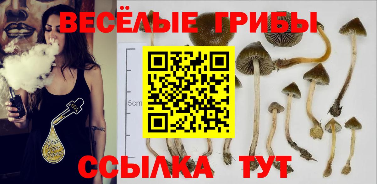 Псилоцибиновые грибы мицелий  Вход с VPN  Балахна 